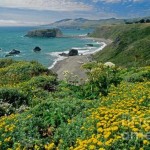 Sonoma State Park